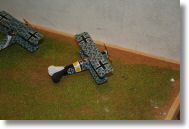 IMG_1346.JPG